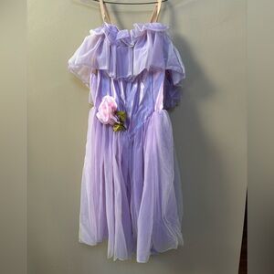 Women’s Halloween / ballet costume